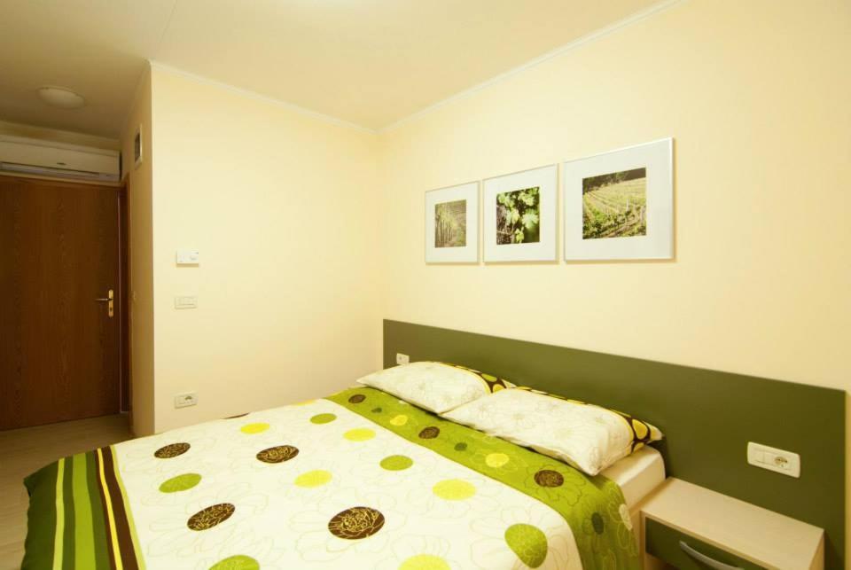 Bed and Breakfast Kraljic - Primoz Cotar Dornberk Exterior foto