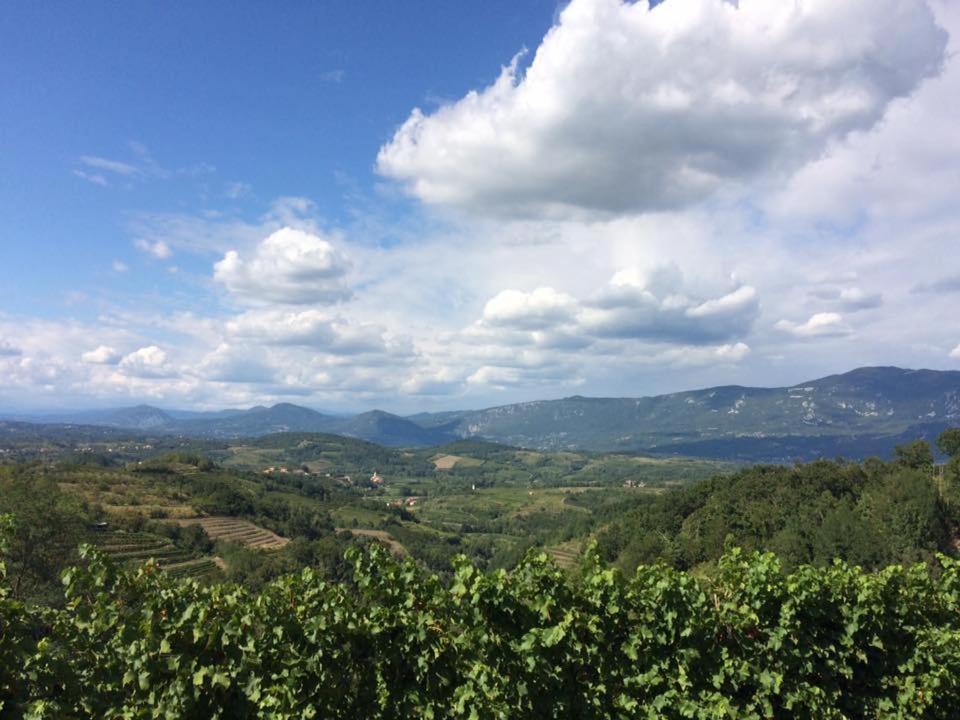 Bed and Breakfast Kraljic - Primoz Cotar Dornberk Exterior foto
